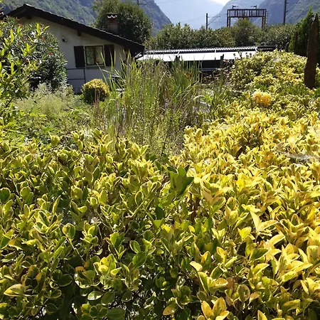 Grotto Pergola Bed & Breakfast Giornico
